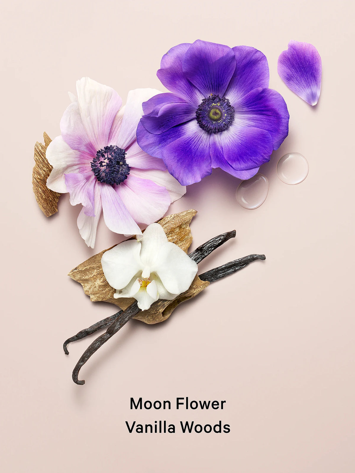 Balsam zapachowy Midnight Bloom