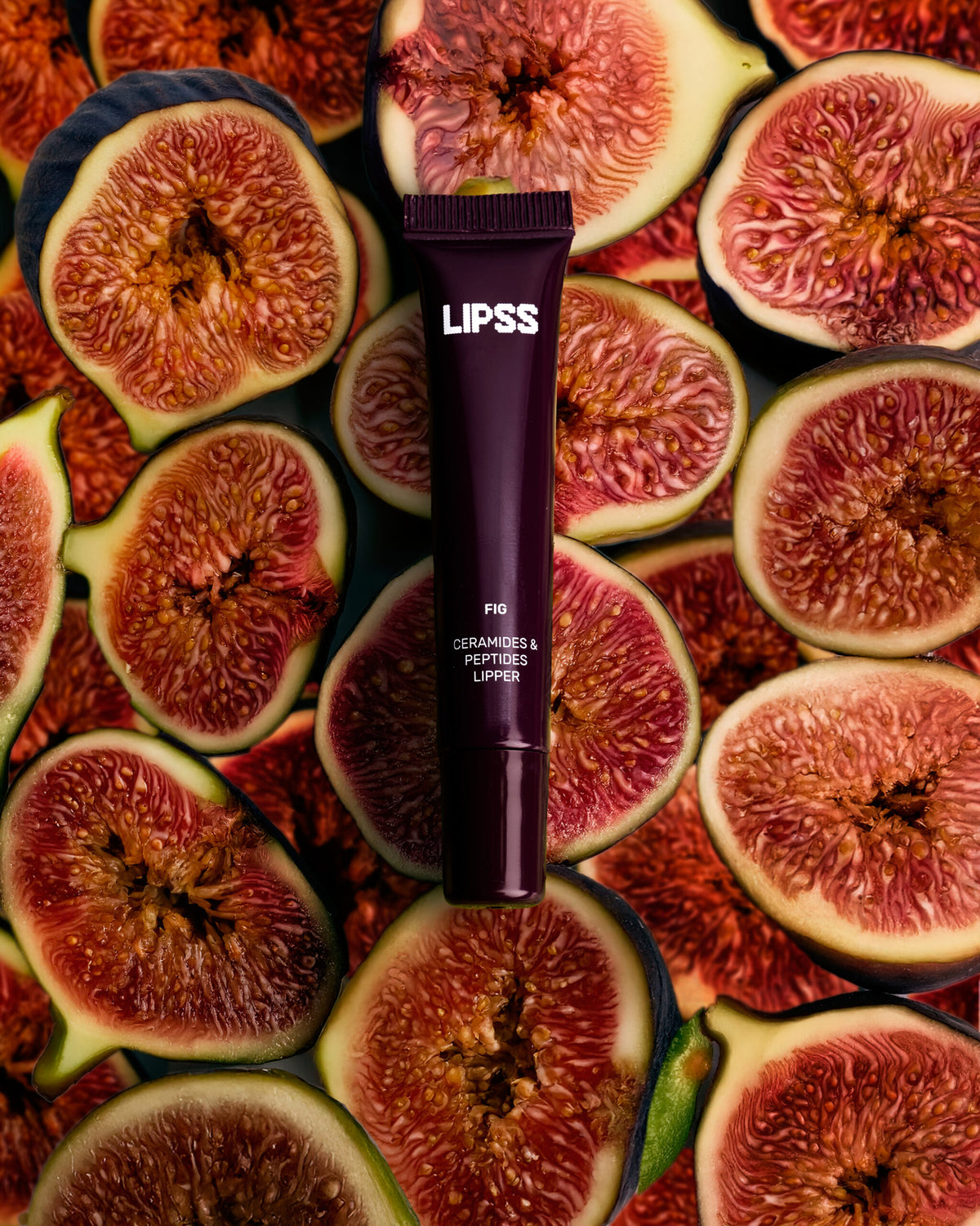 Lipper Lip Gloss – Fig
